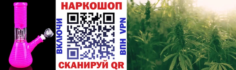 Где найти наркотики Электрогорск Гашиш  Кокаин  Alpha-PVP  Конопля  МЕФ 