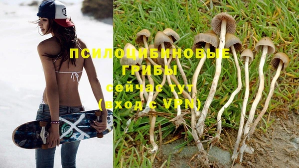 гидропоника Карпинск