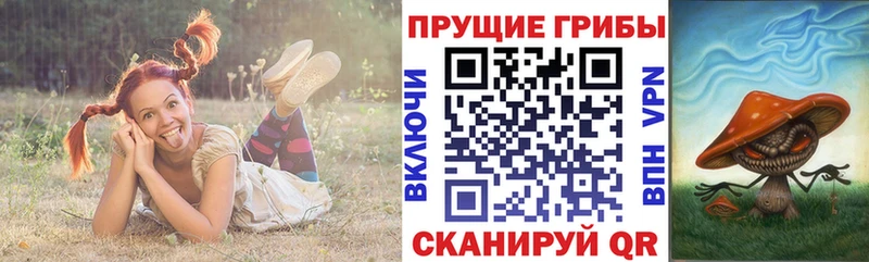 Галлюциногенные грибы Magic Shrooms  купить  цена  Электрогорск 